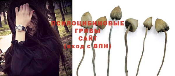 a pvp Алзамай