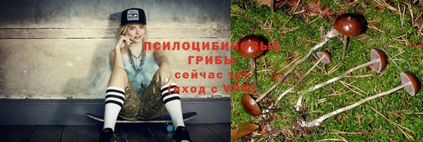 таблы Алексеевка