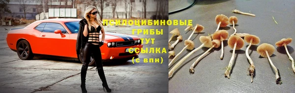 COCAINE Пролетарск