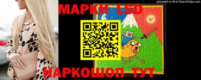 герыч Майкоп