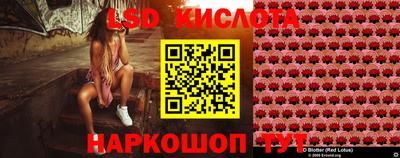 мяу мяу мука Камышлов