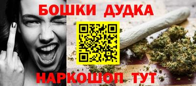 СК Кандалакша