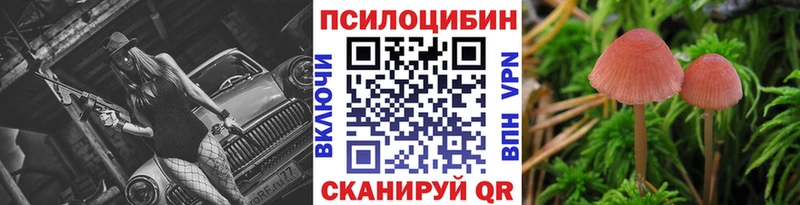 продажа наркотиков  KRAKEN ссылка  Галлюциногенные грибы Cubensis  Крымск 