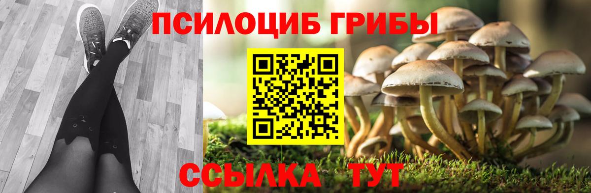 Крымск  Псилоцибиновые грибы Magic Shrooms  Вход с VPN  Псилоцибиновые грибы GOLDEN TEACHER 
